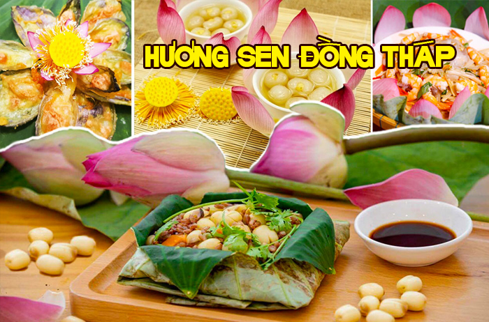 Hương Sen Đồng Tháp