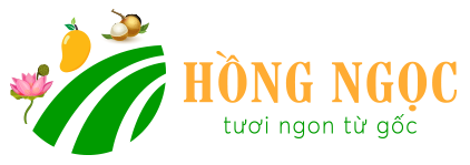 Nông Sản Hồng Ngọc
