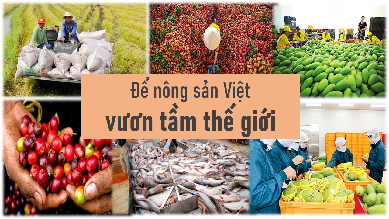Nông sản Đồng Tháp