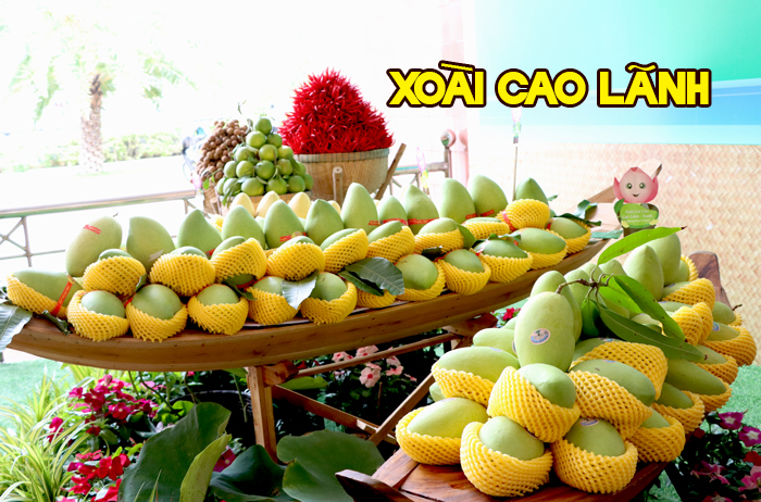 Xoài Cao Lãnh
