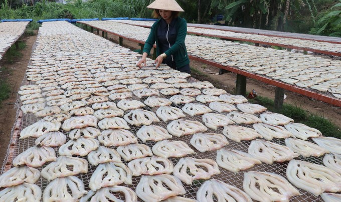 Sản xuất khô cá lóc